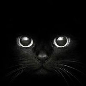 Eunice Gabriel profile icon