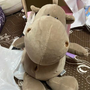 ศิรินันท์ สังขรุ่งโรจน์ profile icon