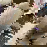 ศิรินันท์ สังขรุ่งโรจน์ profile icon