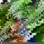 โค'มะ จัง profile icon