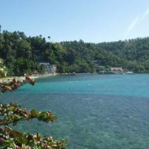 marianne arvie Dela Pena profile icon