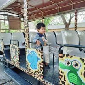 Nafeesah Pinthong profile icon