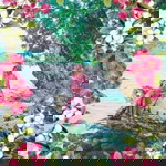 Anissa Apad Gani profile icon