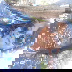 Maya Kurniasari profile icon