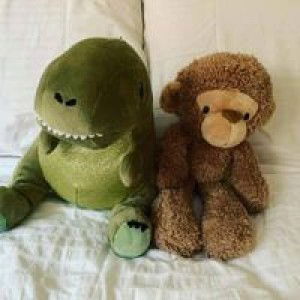 Apey Lim profile icon