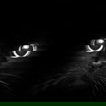 maw dam profile icon