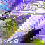 NuKluay Luxsamee profile icon