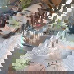 Reindeer Pimthisong profile icon