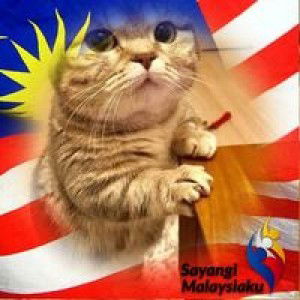 Rosmida Alias profile icon