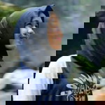 Hera Erlinda profile icon