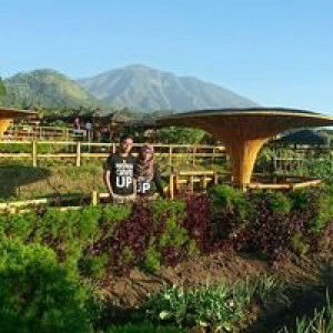 Atiris Syarifah profile icon