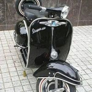 Musemezmerize Allegiance profile icon