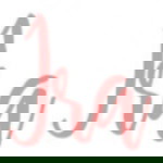 Daniyah Mirrahmatillah profile icon