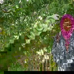 Dhanis Inayah profile icon