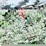 Nam Kanjana JN profile icon