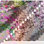 ธัญณัทด์ สีชารู profile icon