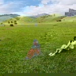 Phakamas Kotbantao profile icon