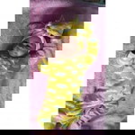 Aisyah Naziya Almahira profile icon