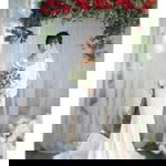 Thảo Nguyễn profile icon