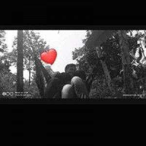 Why Tayo profile icon