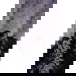 Lailatul Hafiza profile icon