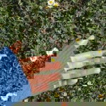 Putty Talitha Zhafira Siregar profile icon