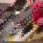 Nguyễn Ngọc profile icon