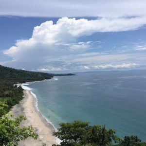 Risa Luciana profile icon