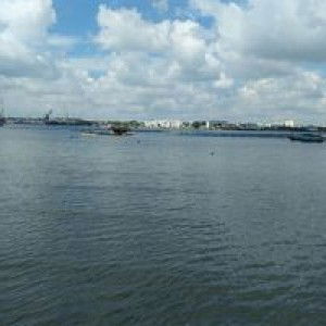 Safa Yusra profile icon