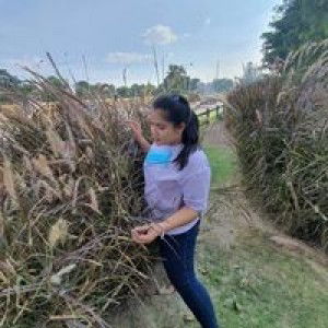 Mayuri Kaeorawang profile icon