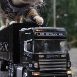 Fiqah Kotoyi profile icon