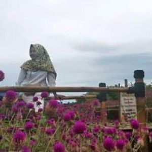 Lesmii L S profile icon