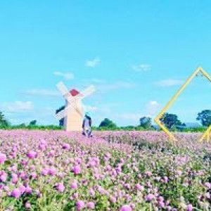 Cris Mylyn Donato profile icon