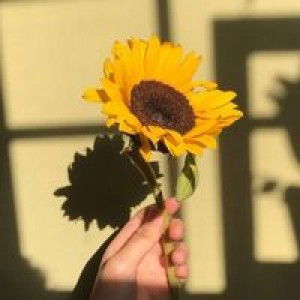 Anisa Handoko profile icon