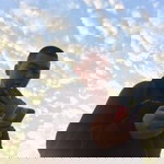 Nuttawut Sangjan profile icon