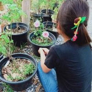 Pornsri Phiafueai profile icon