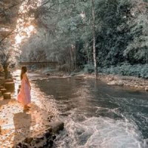 AmMii Independence profile icon