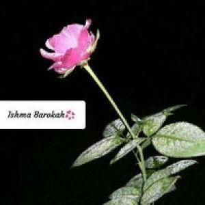 Ishma Barokah profile icon