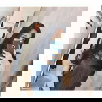 dissy. nol profile icon