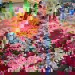 Ni Phannita profile icon