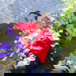 Melvin Dupagan Crisostomo profile icon