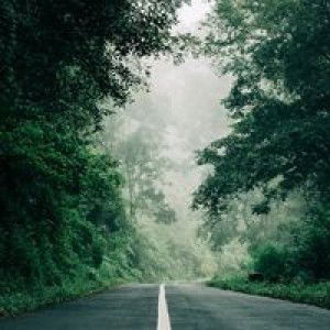 Luzzieluzz Agustin profile icon