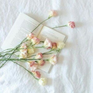 Aisyah Nurhidayanti profile icon