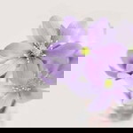 Karmila Abdullah profile icon