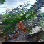 Avegail Posada profile icon