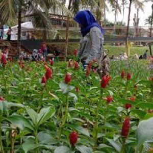 Ernia Kania profile icon