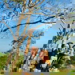 Joyce Ann profile icon