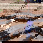 Amalia Ardiana profile icon