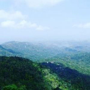 Mastora Siahaan profile icon