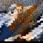 Ann Amparo profile icon